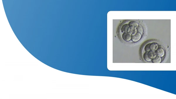 Latest in VITA - The first inseminated embryos at VITA IN VITRO Center ...