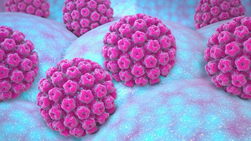 Изследвания за HPV - Човешки папиломен вирус в ДКЦ ВИТА